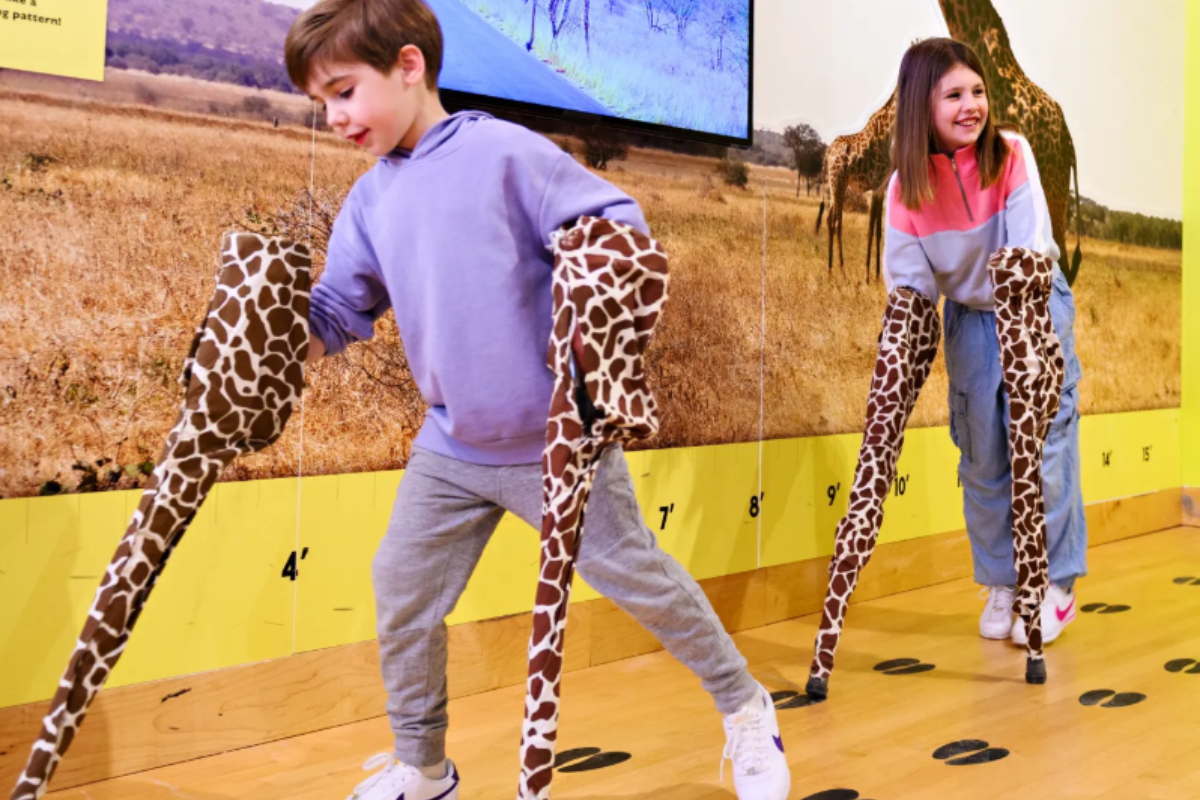 Activities in THEMUSEUM Kitchener