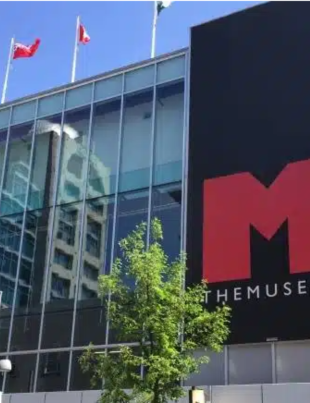 Dive Into Interactive Fun at THEMUSEUM Kitchener