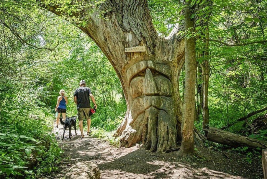 walter bean grand river trail