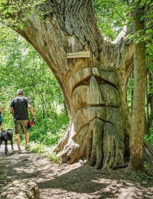 walter bean grand river trail