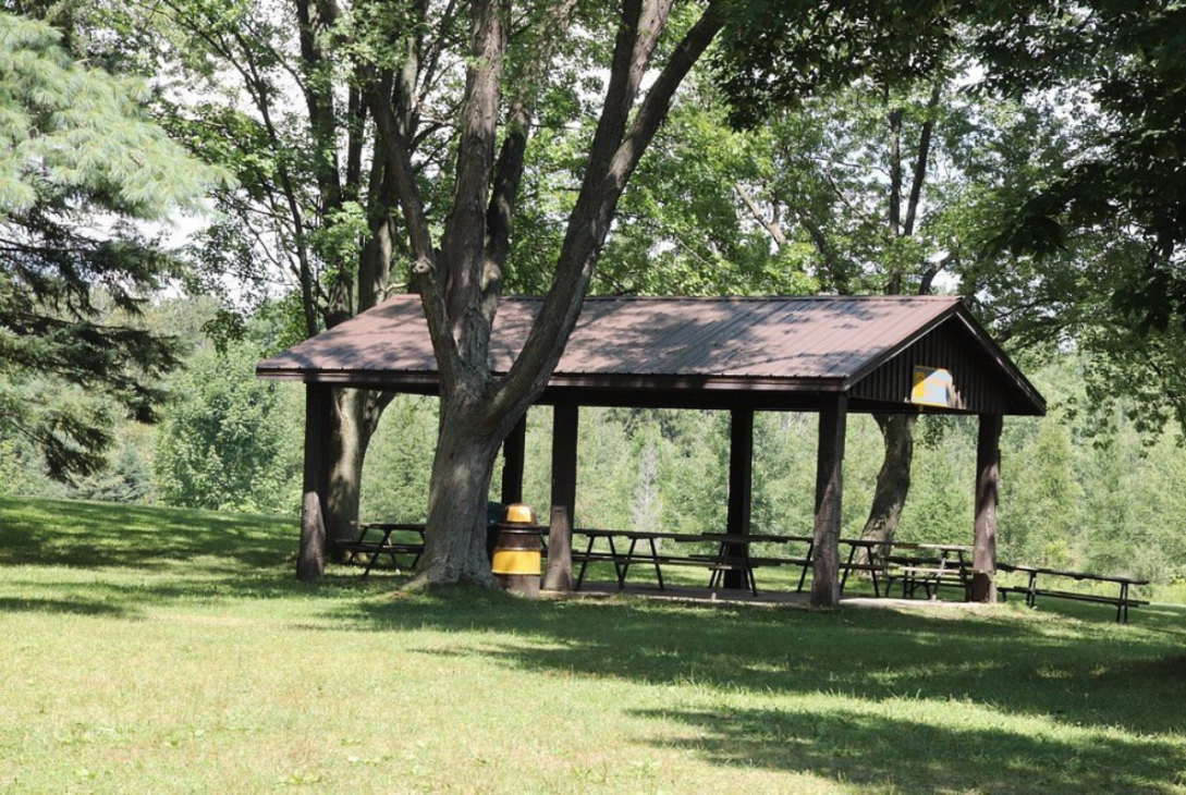 Laurel Creek Conservation Area Waterloo