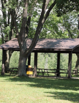 Laurel Creek Conservation Area Waterloo