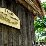 Unwind with Nature at Steckle Heritage Farm