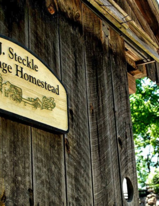 Unwind with Nature at Steckle Heritage Farm