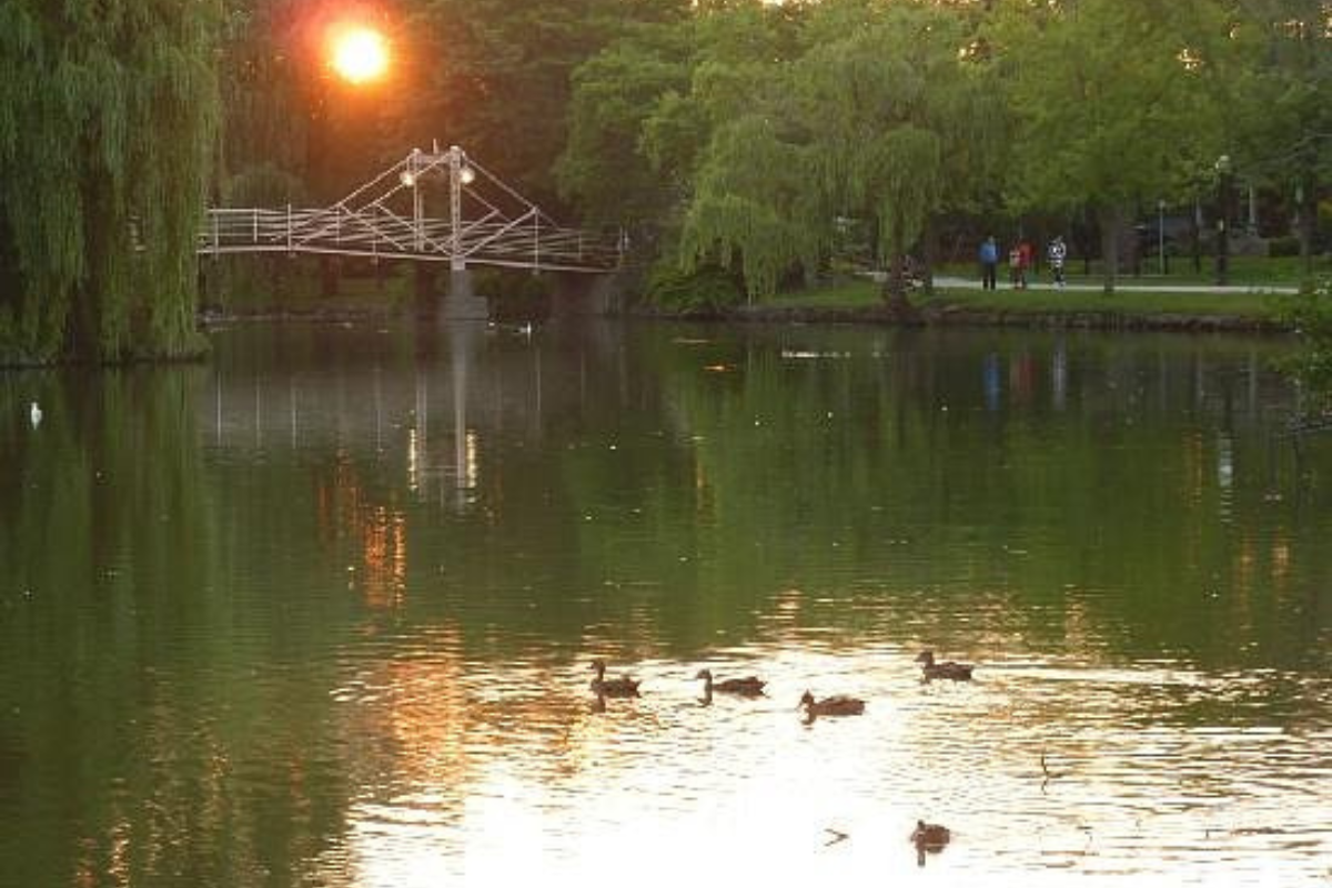 Victoria Park Kitchener walking trails lake evening