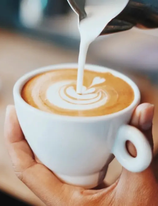 Waterloo’s Best Coffee