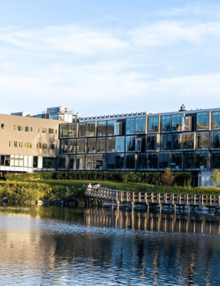 the Perimeter Institute