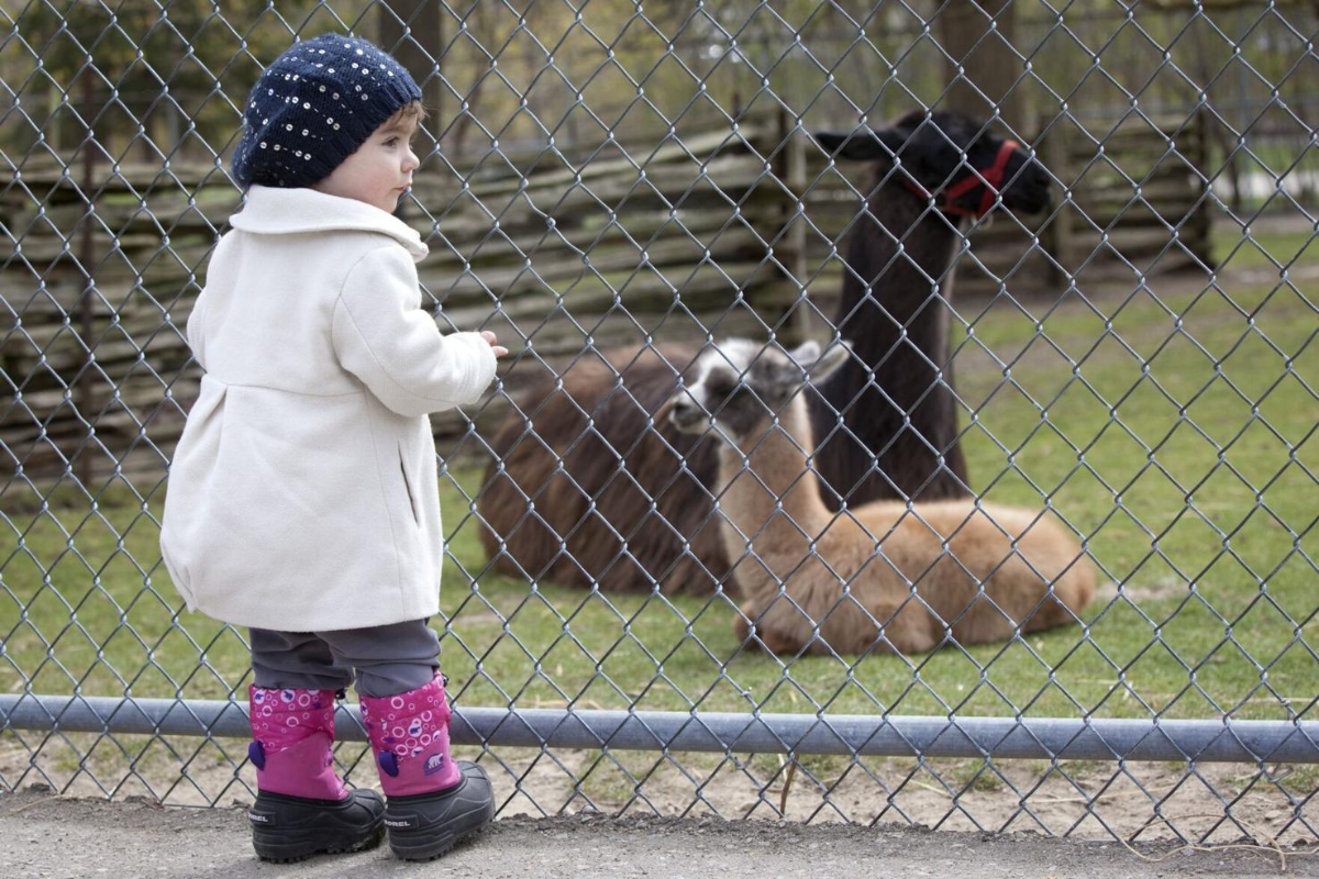 Family activities in Waterloo