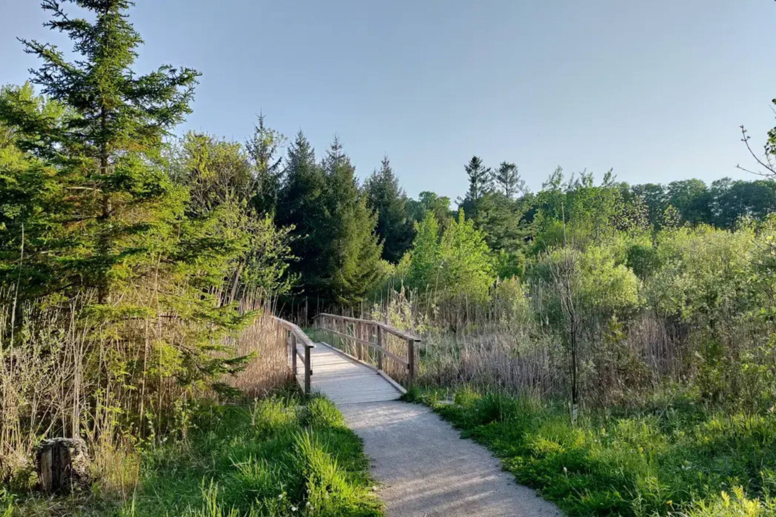 Laurel Trail Waterloo Ontario Laurel Creek scenery