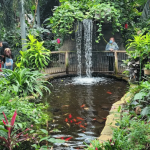 Small waterfall in Butterfly Conservatory