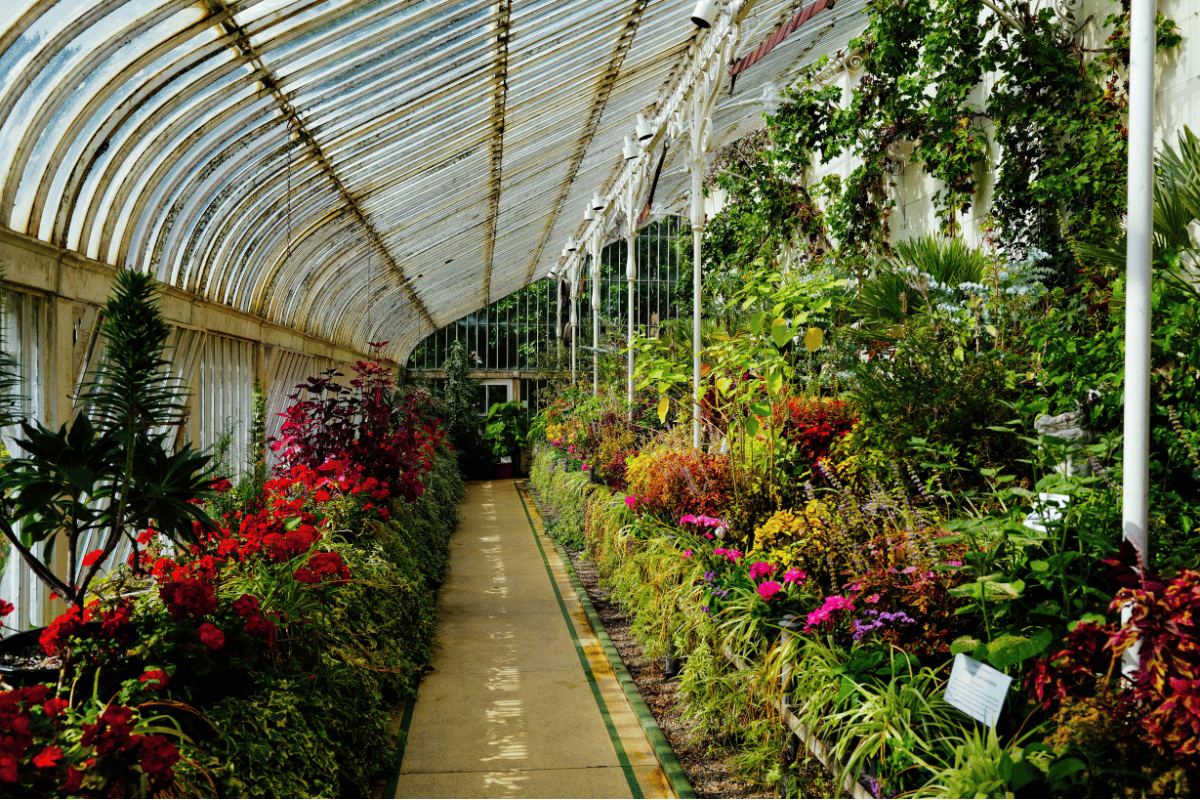 Tropical Greenhouse Walkway