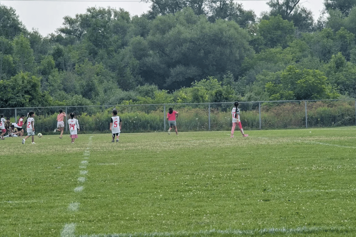 children playing playground park summer