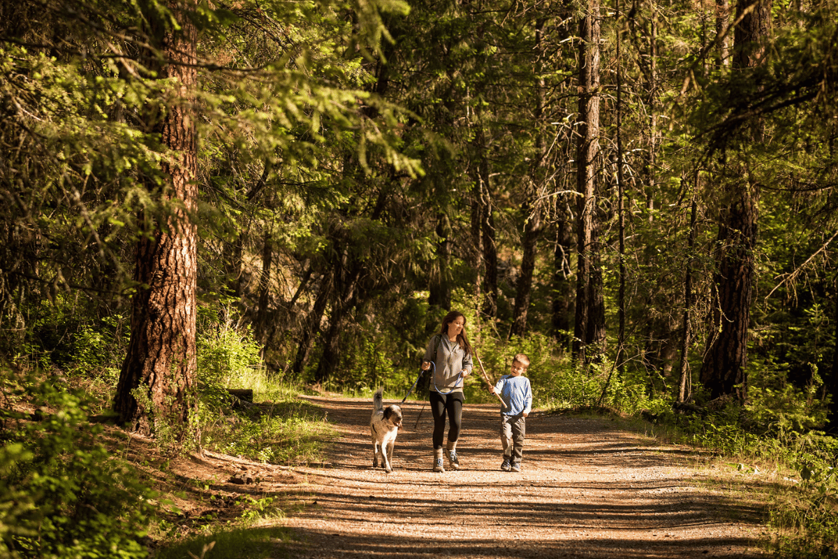 parents and kids picnic outdoor park