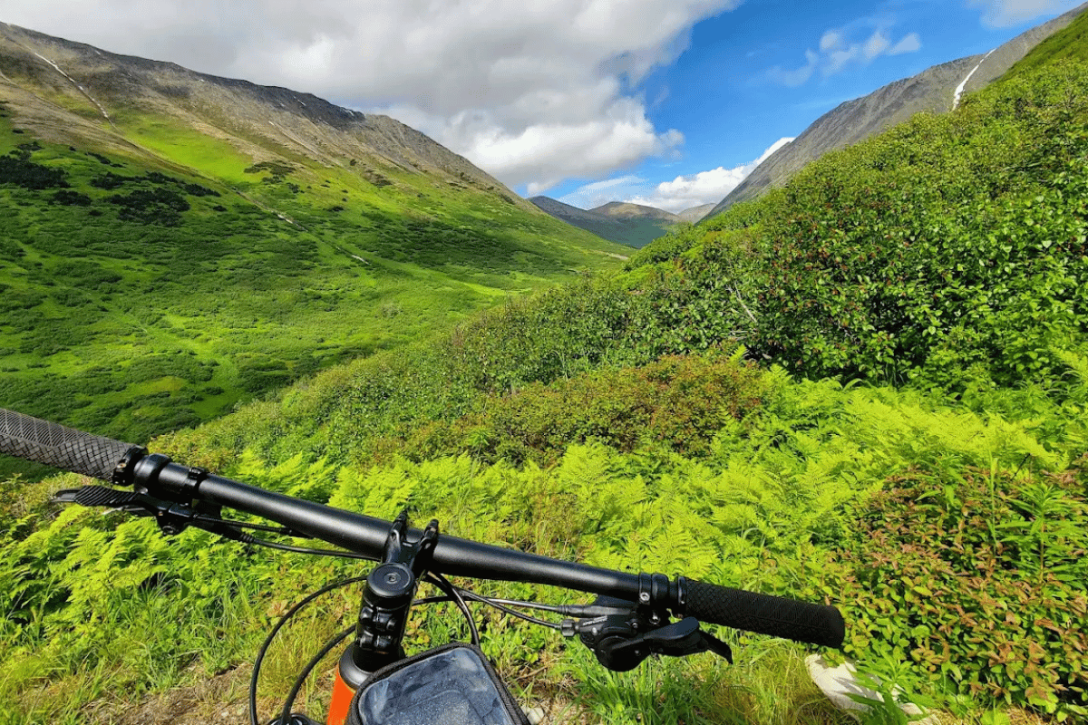 walking trail along Devils Creek Cambridge